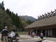 毛無山ブナとカタクリの花