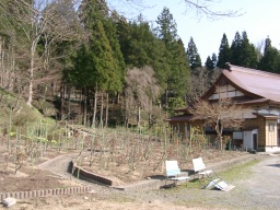 南部町長谷ぼたん園